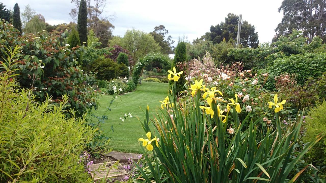 Altona Garden Retreat Guest House Spreyton Bagian luar foto
